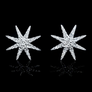 Diamond 18k White Gold Cluster Earrings